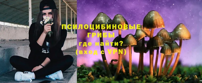 даркнет наркотические препараты  Кандалакша  Псилоцибиновые грибы Cubensis 