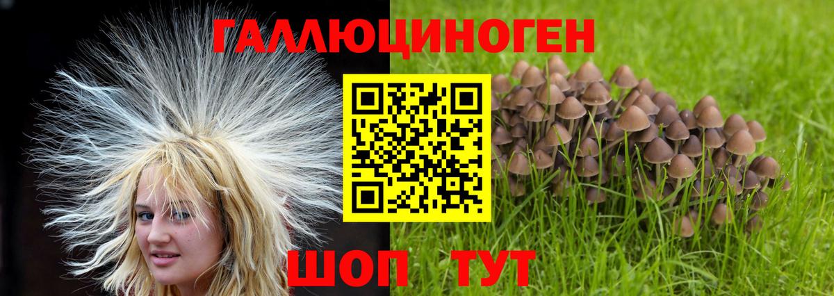 Галлюциногенные грибы ЛСД  Псилоцибиновые грибы Psilocybe  Вход с VPN  Кандалакша 