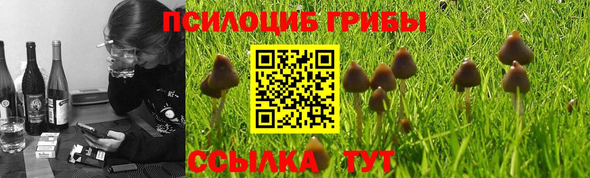NBOMe Кандалакша