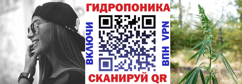 Бошки марихуана THC 21%  как найти наркотики  Кандалакша 